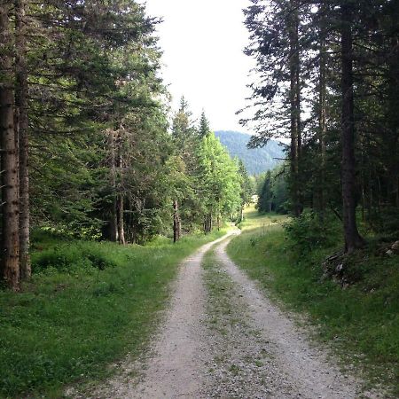 Beau Site Daire Villard-de-Lans Dış mekan fotoğraf