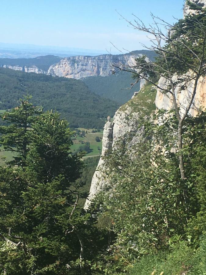 Beau Site Daire Villard-de-Lans Dış mekan fotoğraf